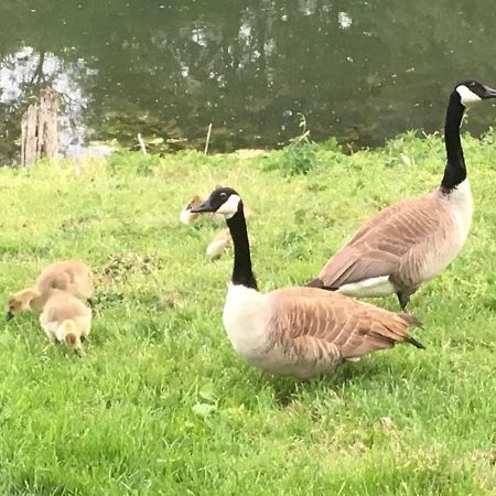 En Bord De Seine Bed & Breakfast Vetheuil Bagian luar foto